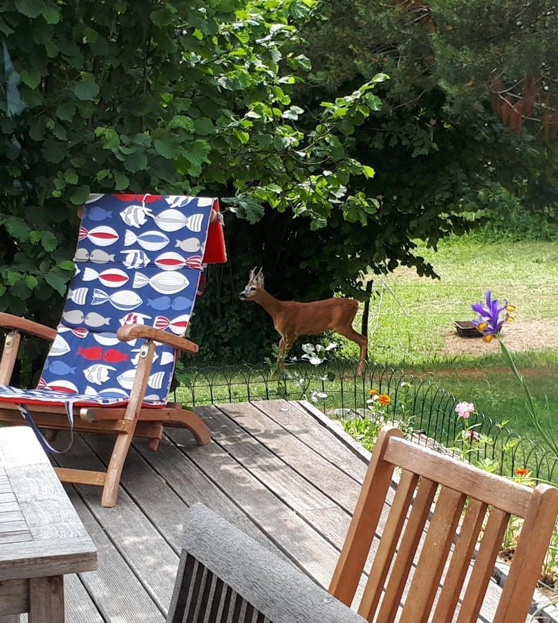Bed And Breakfast Trnje Pivka Εξωτερικό φωτογραφία