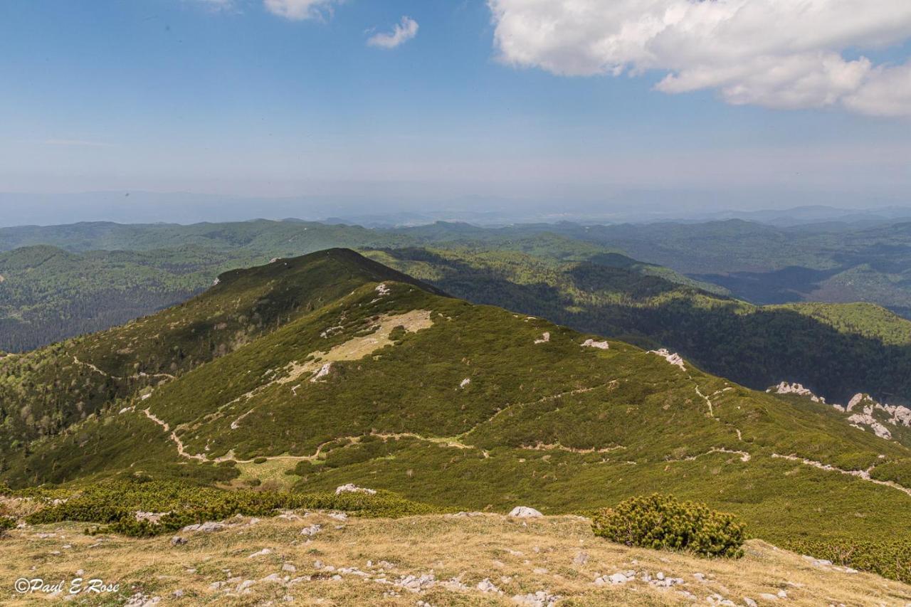 Bed And Breakfast Trnje Pivka Εξωτερικό φωτογραφία