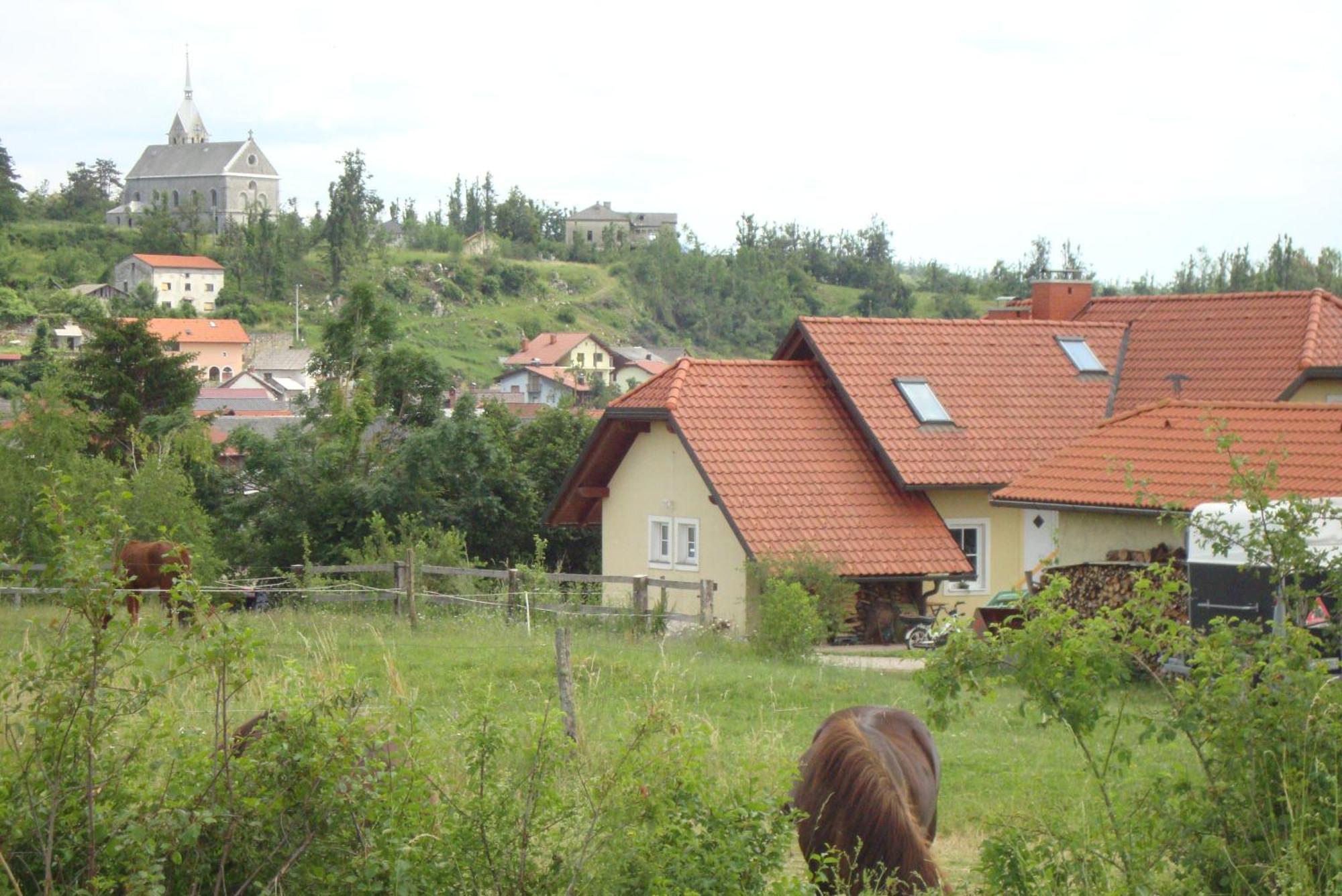 Bed And Breakfast Trnje Pivka Εξωτερικό φωτογραφία