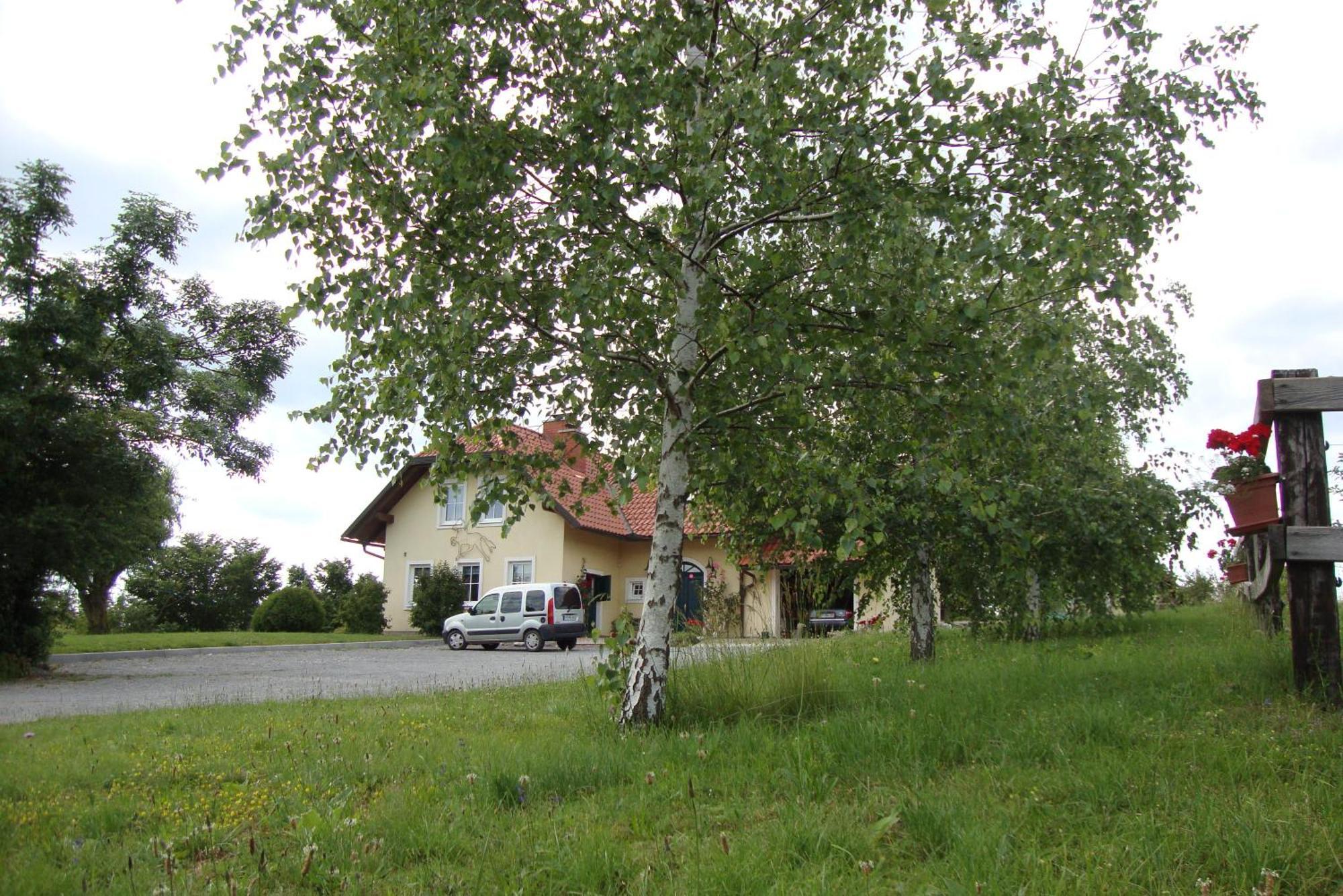 Bed And Breakfast Trnje Pivka Εξωτερικό φωτογραφία