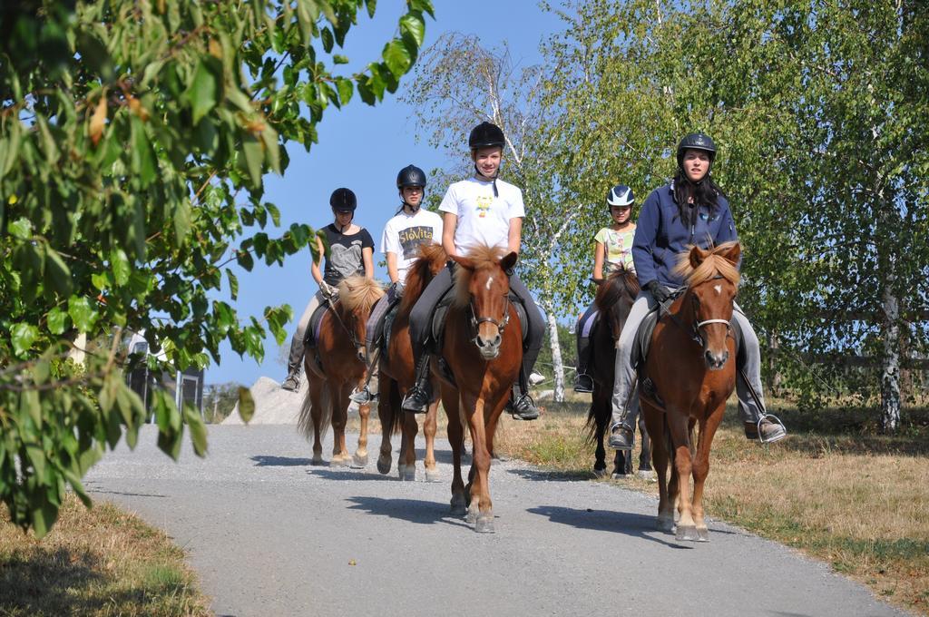 Bed And Breakfast Trnje Pivka Εξωτερικό φωτογραφία