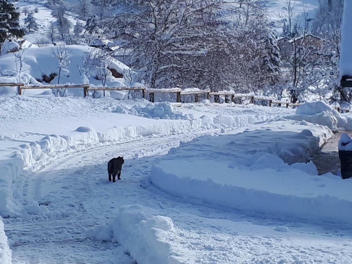 Bed And Breakfast Trnje Pivka Εξωτερικό φωτογραφία