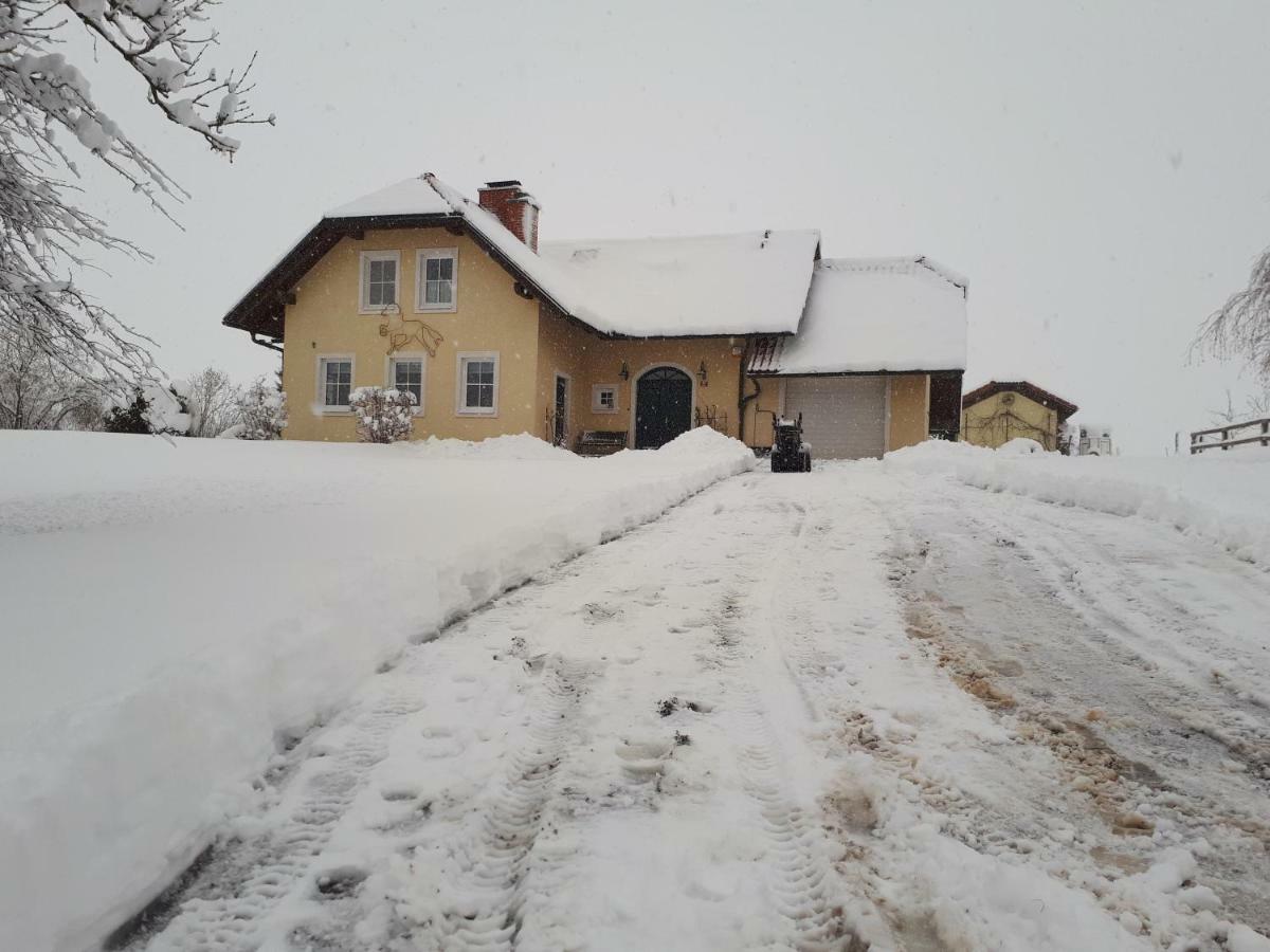 Bed And Breakfast Trnje Pivka Εξωτερικό φωτογραφία